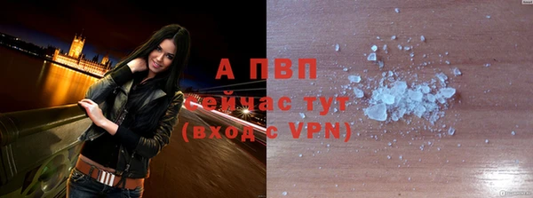 кокс Богородицк