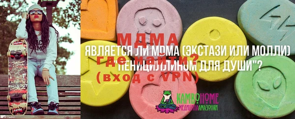 кокс Богородицк