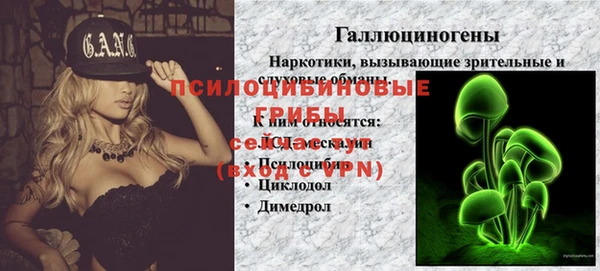 кокс Богородицк