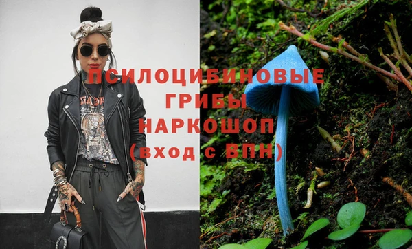 кокс Богородицк